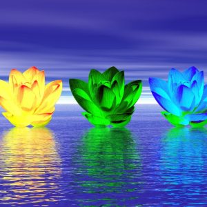 The flowers symbolises the differnt groups of Seraphim.