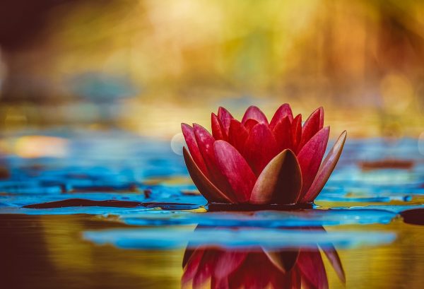 enhancing creativity