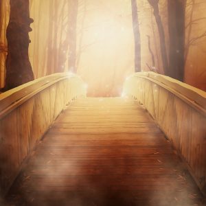 Life Path Empowerment