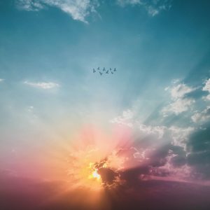 Angel Guides Empowerment