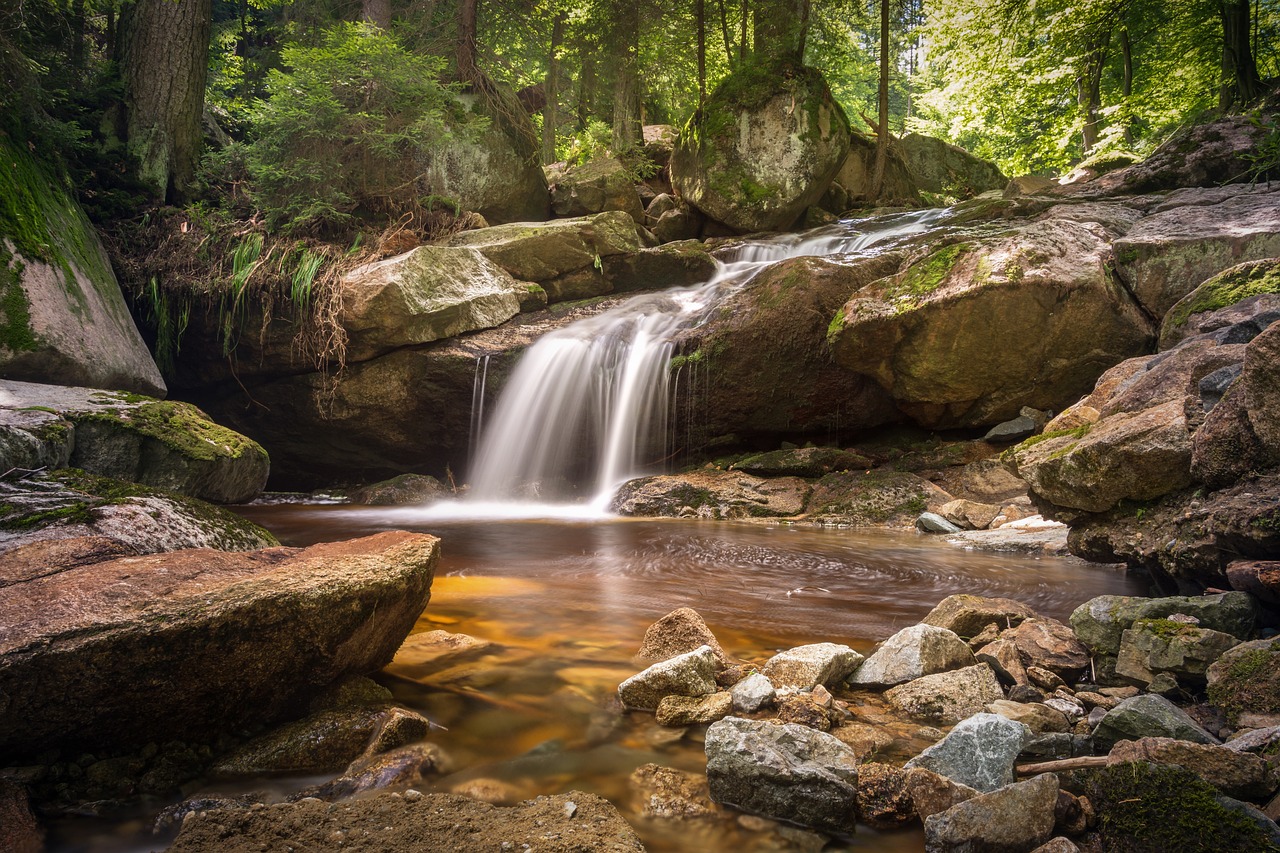 Money River Reiki